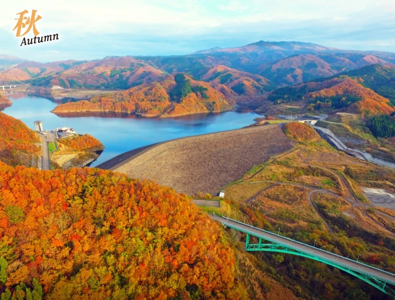 紅葉に囲まれた森吉山ダムと四季美湖の秋景色