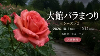 【大館市】大館バラまつり シーズン2が10月1日に開幕!秋バラの見頃・駐車場・カフェ情報