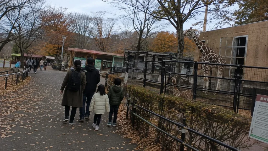 晩秋の大森山動物園で動物を見ながら園内を歩く家族のイメージ