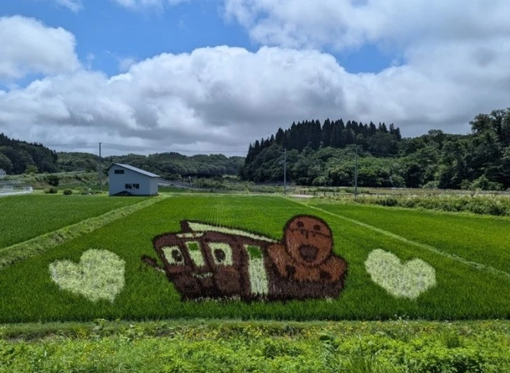 秋田内陸線沿線の田んぼアート「温泉でくつろぐないりっくん」を上から見た様子