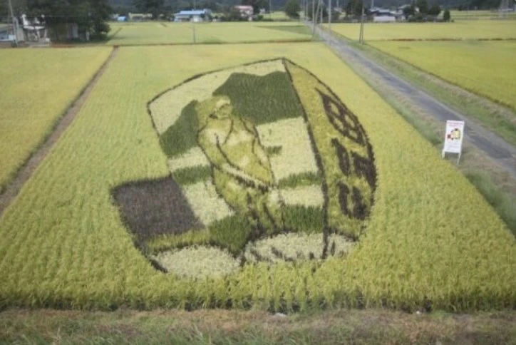 角館駅〜羽後太田駅間の田んぼアート「浮世絵 東洲斎写楽」