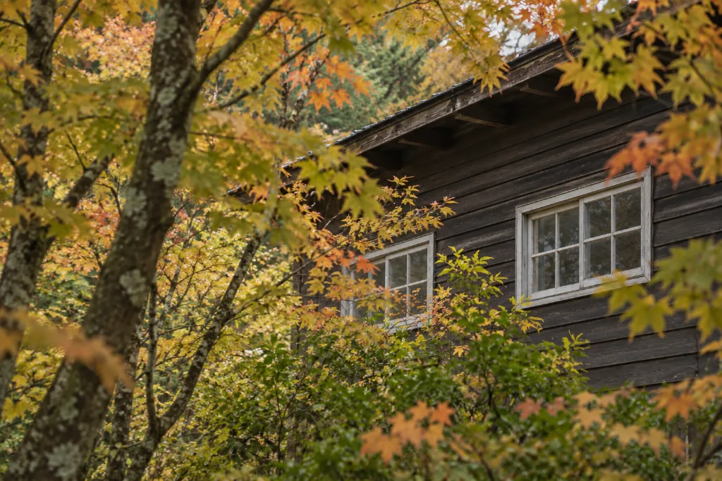 紅葉した木々に囲まれた木造の建物