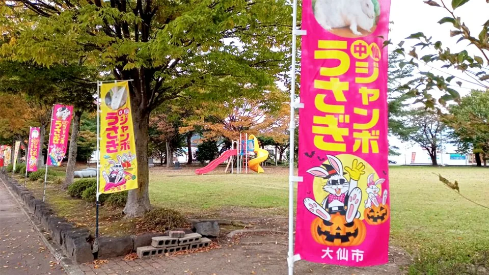 公園に並ぶ全国ジャンボうさぎフェスティバルののぼり旗
