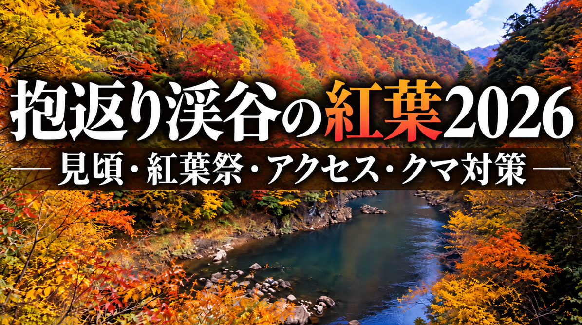 抱返り紅葉祭