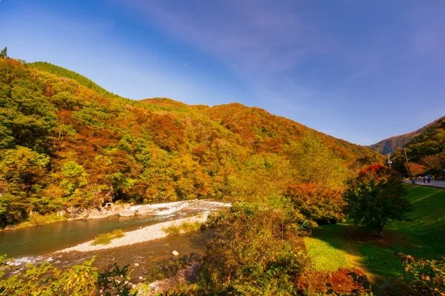紅葉した山々と玉川が広がる抱返り渓谷の風景