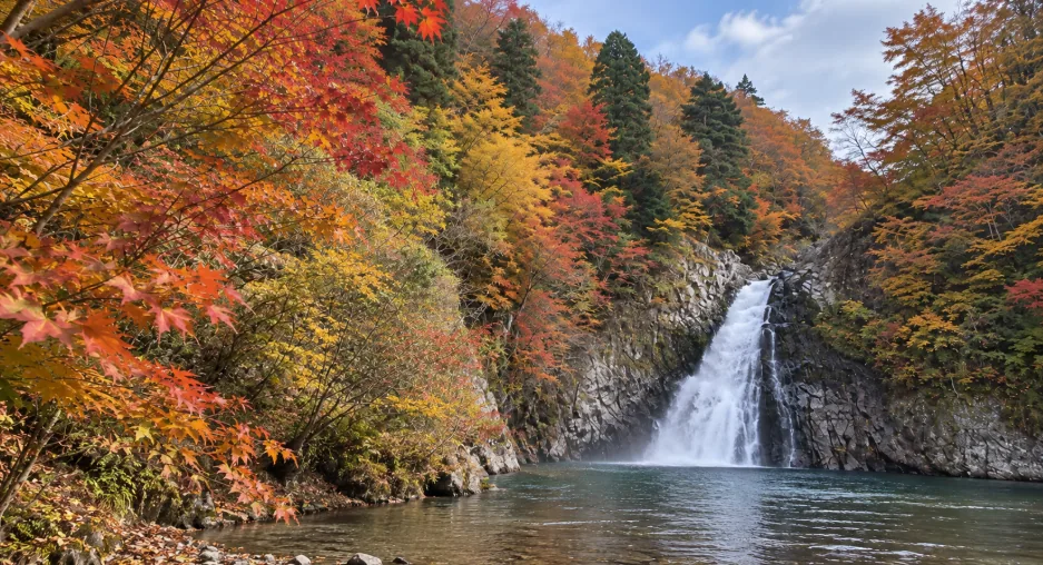 赤や黄の紅葉に囲まれた法体の滝と滝つぼ