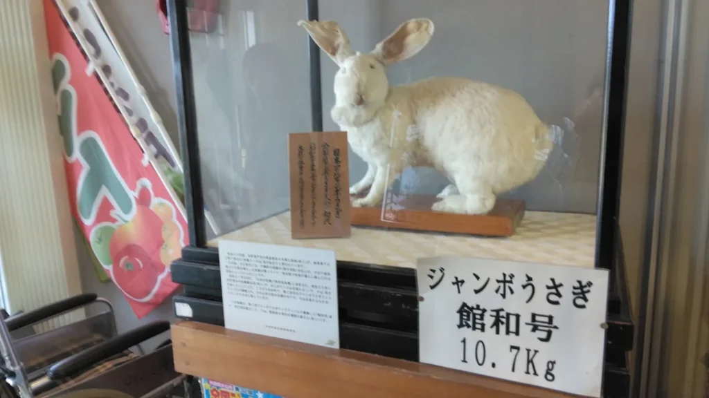 体重10.7kgと表示されたジャンボうさぎ館和号の展示