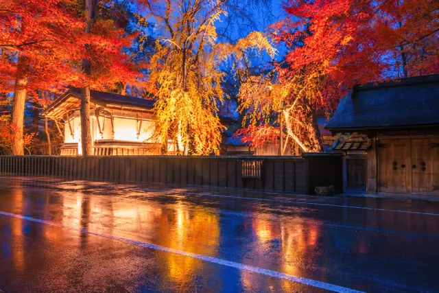 夜にライトアップされた角館武家屋敷周辺の紅葉
