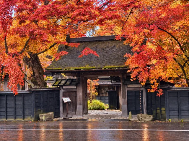 紅葉に囲まれた角館武家屋敷の茅葺き門
