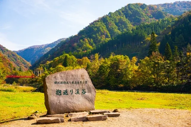 紅葉した木々の中に架かる赤い吊り橋の神の岩橋
