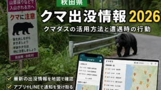 【秋田県】クマ出没情報2026|クマダスの活用方法と遭遇時の行動