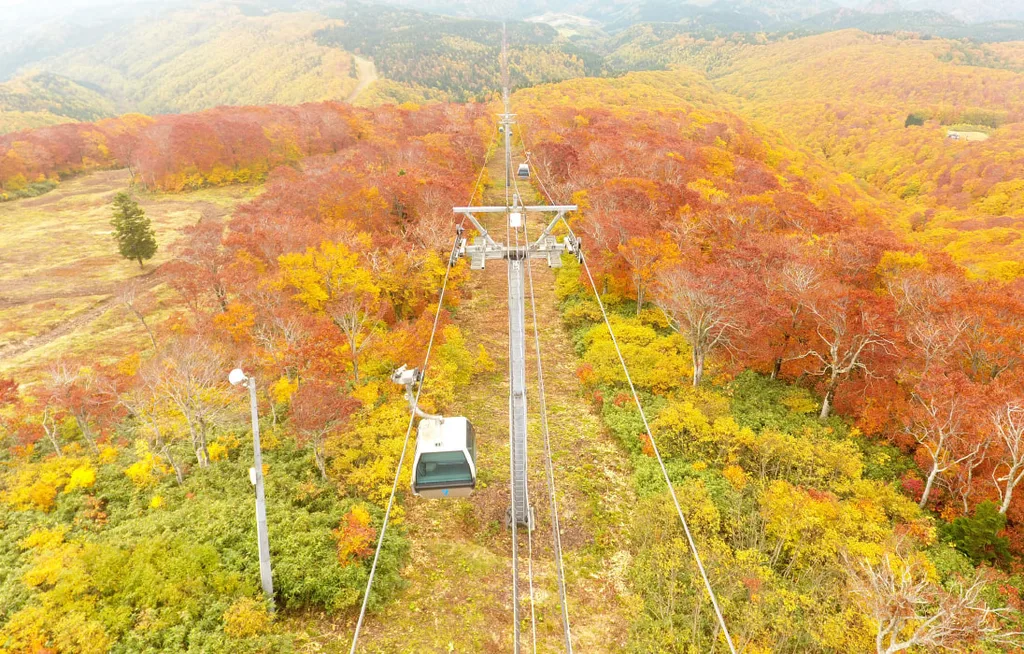 紅葉した森の上を運行する阿仁ゴンドラ