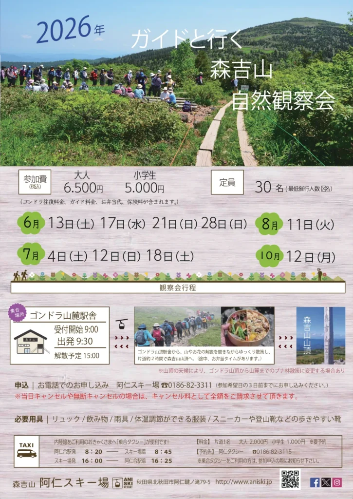 2026年の森吉山自然観察会の日程・料金・集合時間を掲載した公式チラシ