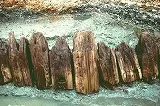 地面から突き出すように列状に並んだ古い木材