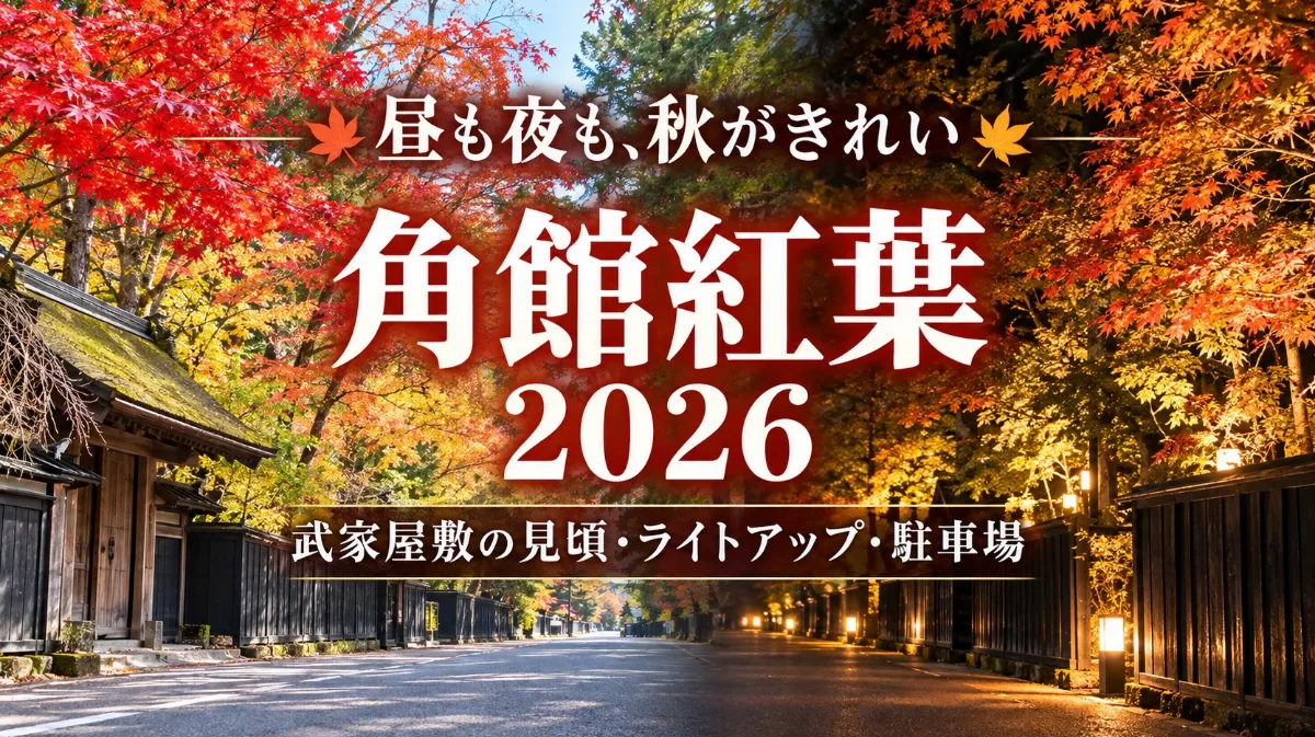 【仙北市】角館紅葉2026｜武家屋敷の見頃・ライトアップ・駐車場