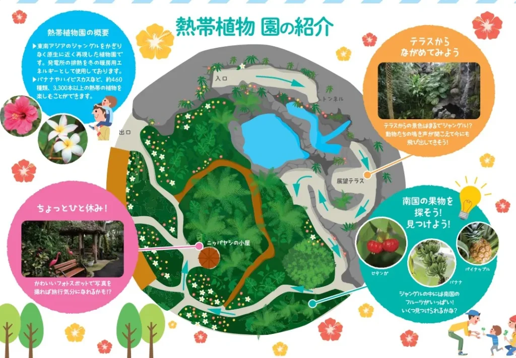 能代エナジアムパーク熱帯植物園の園内マップ