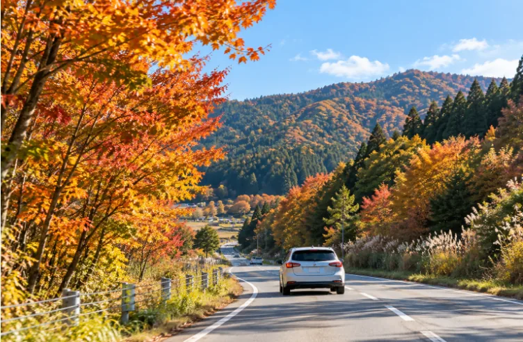 紅葉した木々と山に囲まれた道路を白い車が走るイメージ画像